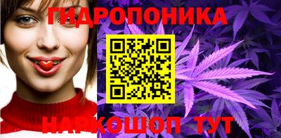 спиды Гатчина
