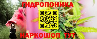 спиды Гатчина