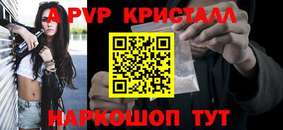 спиды Гатчина