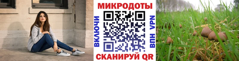 Галлюциногенные грибы Cubensis  мега   Удомля 