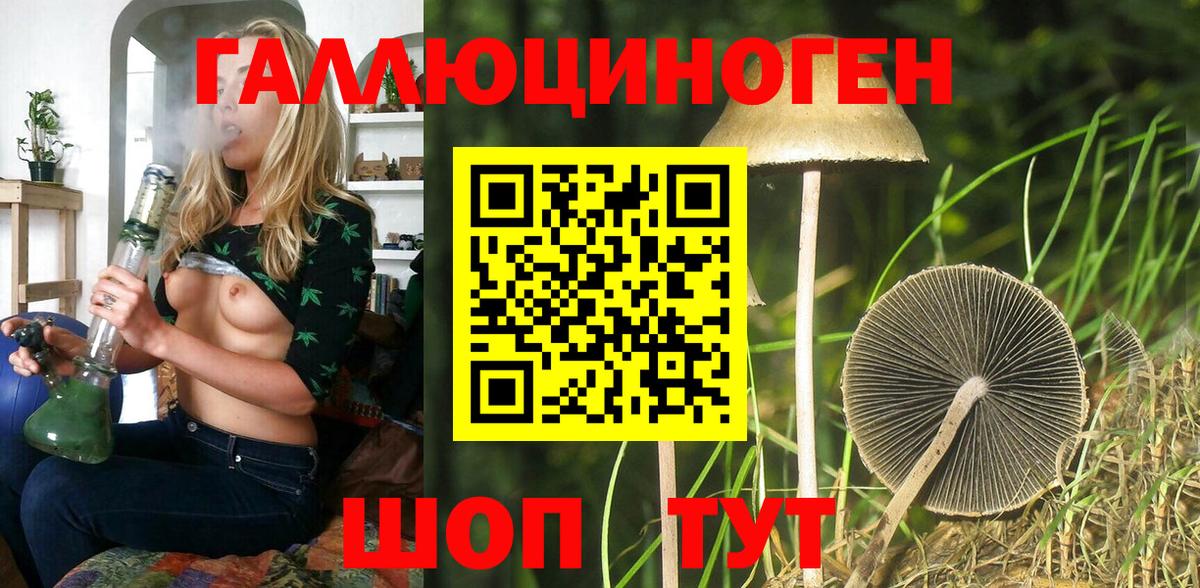 Галлюциногенные грибы Magic Shrooms Удомля